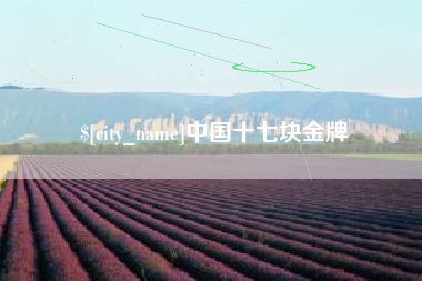 双鸭山中国十七块金牌