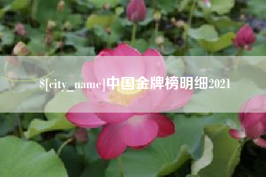 双鸭山中国金牌榜明细2021