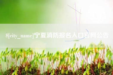 双鸭山宁夏消防报名入口官网公告