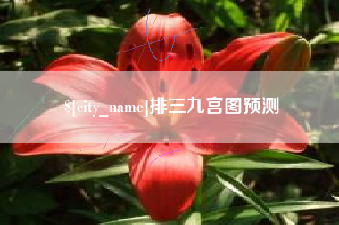 双鸭山排三九宫图预测