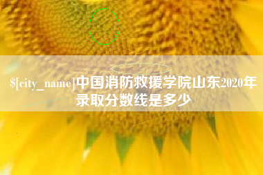 双鸭山中国消防救援学院山东2020年录取分数线是多少