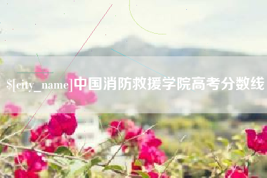 双鸭山中国消防救援学院高考分数线