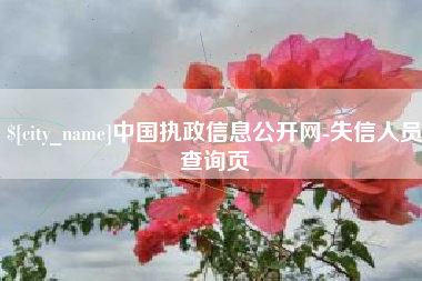 双鸭山中国执政信息公开网-失信人员查询页