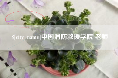 双鸭山中国消防救援学院 老师