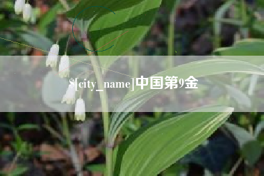 双鸭山中国第9金