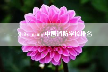 双鸭山中国消防学校排名