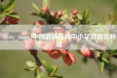 双鸭山中国消防官网中小学消防公开课