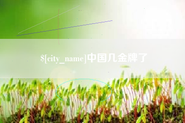 双鸭山中国几金牌了