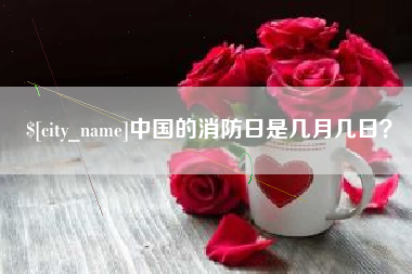 双鸭山中国的消防日是几月几日？