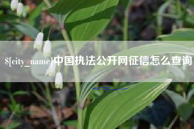双鸭山中国执法公开网征信怎么查询
