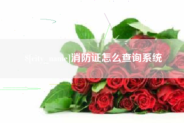 双鸭山消防证怎么查询系统