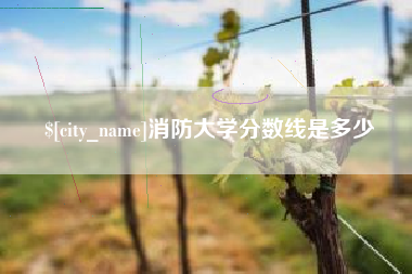 双鸭山消防大学分数线是多少
