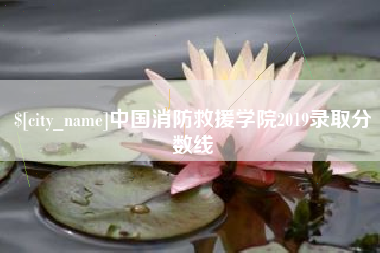 双鸭山中国消防救援学院2019录取分数线