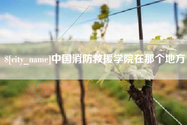 双鸭山中国消防救援学院在那个地方