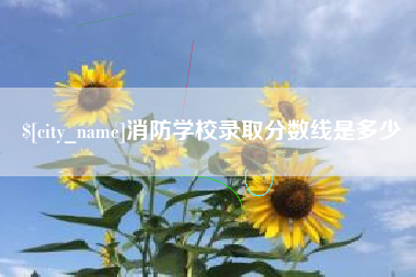 双鸭山消防学校录取分数线是多少