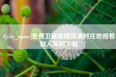双鸭山免费卫星地图高清村庄地图看到人实时下载