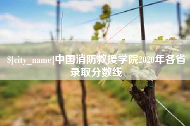 双鸭山中国消防救援学院2020年各省录取分数线