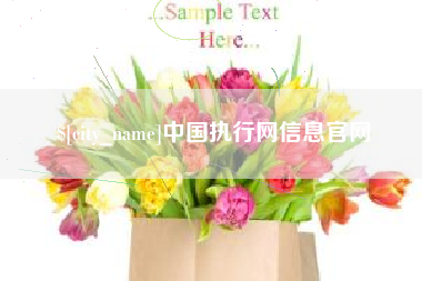 双鸭山中国执行网信息官网