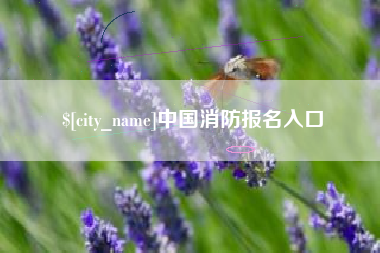 双鸭山中国消防报名入口