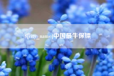 双鸭山中国最牛保镖