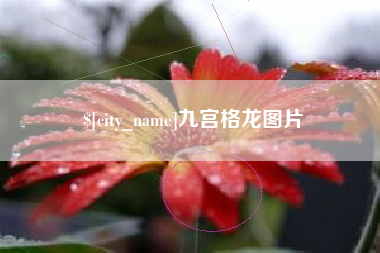 双鸭山九宫格龙图片