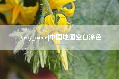 双鸭山中国地图空白涂色