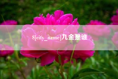 双鸭山九金是谁