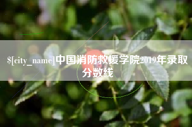 双鸭山中国消防救援学院2019年录取分数线