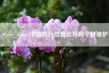 双鸭山中国执行信息公开网平台维护