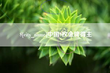 双鸭山中国9枚金牌得主