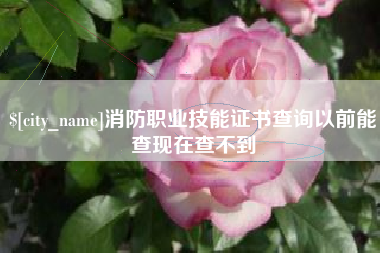 双鸭山消防职业技能证书查询以前能查现在查不到