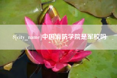 双鸭山中国消防学院是军校吗