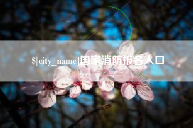 双鸭山国家消防报名入口