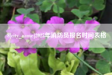 双鸭山2025年消防员报名时间表格