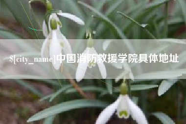 双鸭山中国消防救援学院具体地址