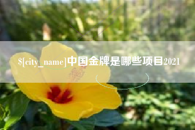 双鸭山中国金牌是哪些项目2021