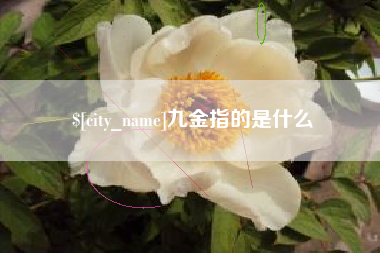 双鸭山九金指的是什么