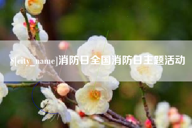 双鸭山消防日全国消防日主题活动