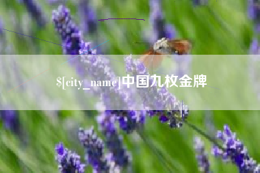 双鸭山中国九枚金牌