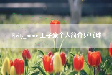 双鸭山王子豪个人简介乒乓球