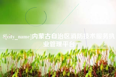 双鸭山内蒙古自治区消防技术服务执业管理平台