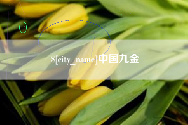 双鸭山中国九金