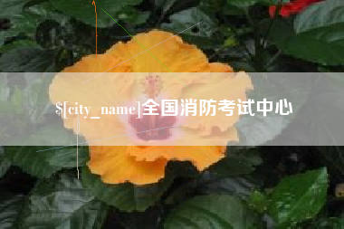 双鸭山全国消防考试中心