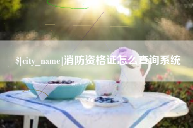 双鸭山消防资格证怎么查询系统