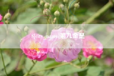 双鸭山第九金是