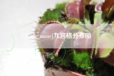 双鸭山九宫格分布图