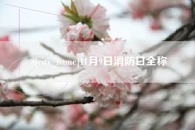 双鸭山11月9日消防日全称