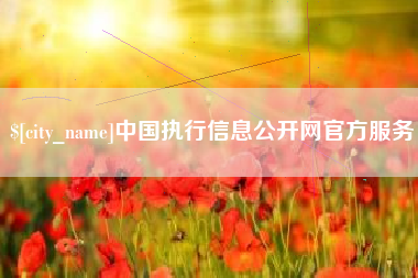 双鸭山中国执行信息公开网官方服务