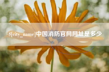 双鸭山中国消防官网网址是多少