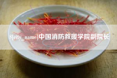 双鸭山中国消防救援学院副院长